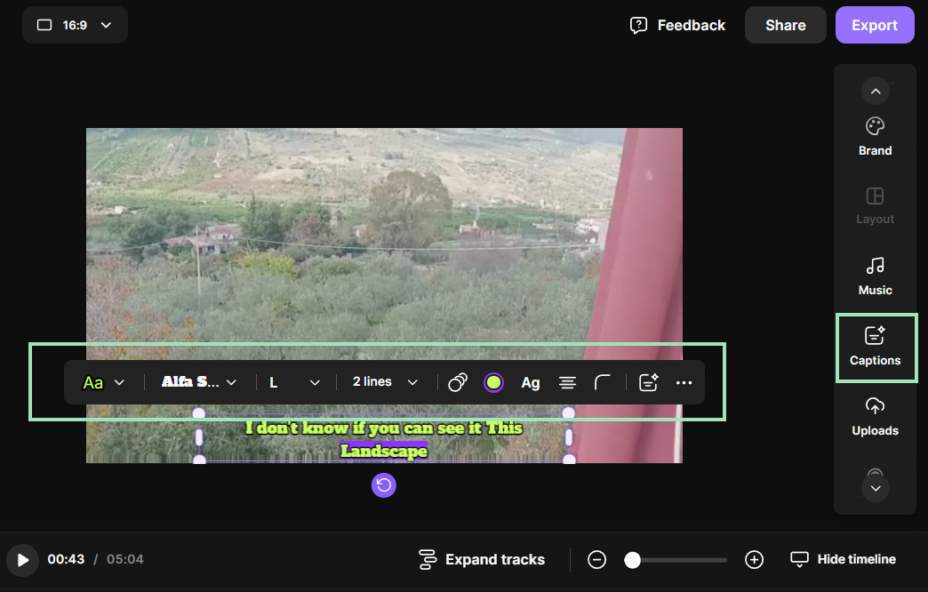 riverside caption options 