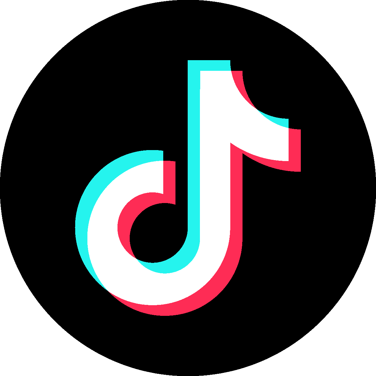 TikTok video sharing platform